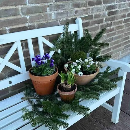 Luksus Hus I 1st Raekke, All-incl Komfort Med Og Skov *