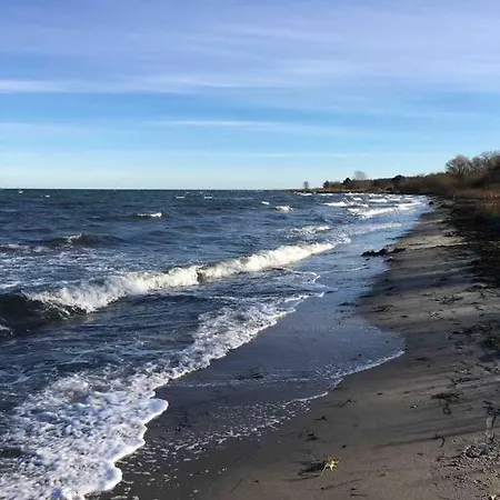 Luksus Hus I 1st Raekke, All-incl Komfort Med Og Skov Dom wakacyjny *