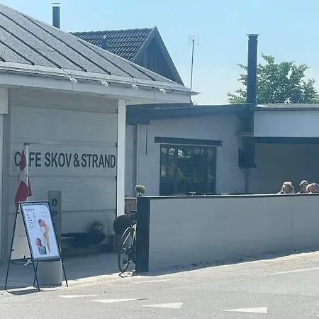 Feriehus Luksus Hus I 1st Række, All-incl Komfort Med Og Skov