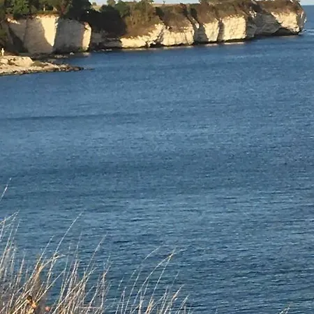 Luksus Hus I 1st Raekke, All-incl Komfort Med Og Skov * Strøby Ladeplads